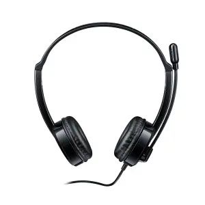 Rapoo H120 USB Stereo Headset.